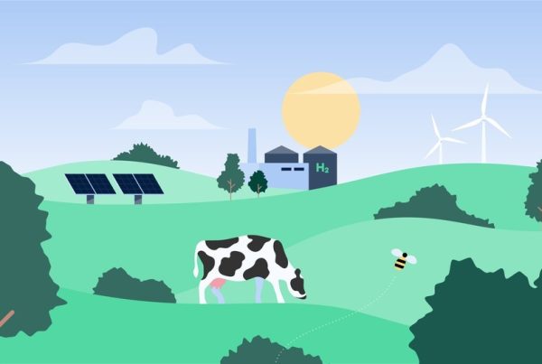 Eurowind Energy QHSE film – landscape scene as an illustration